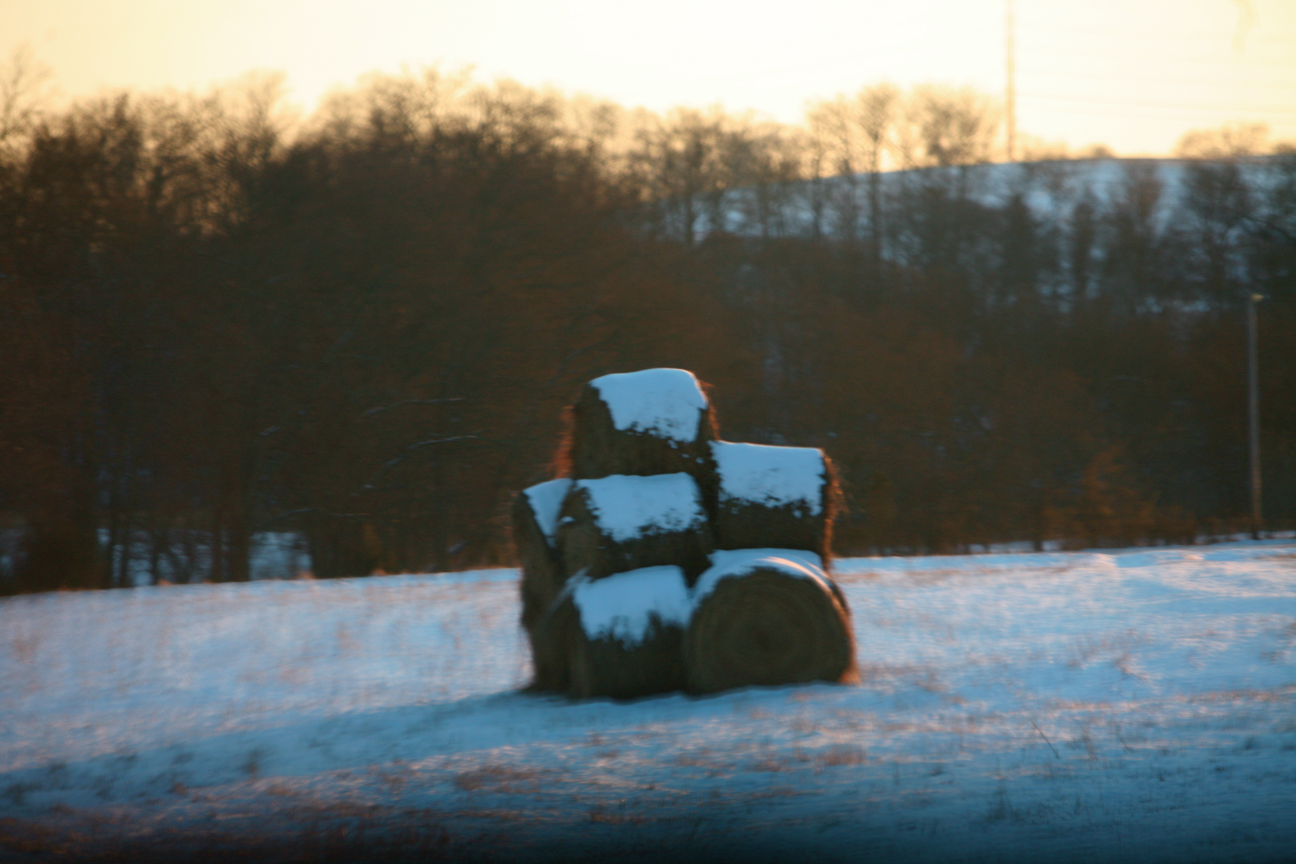 Tennesseehaybales.JPG
